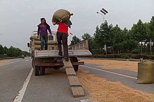 粮食装车