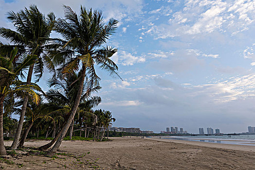 海南文昌高隆湾的椰树和沙滩