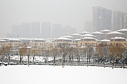 雪景