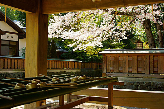 神祠,春天,熊本,日本