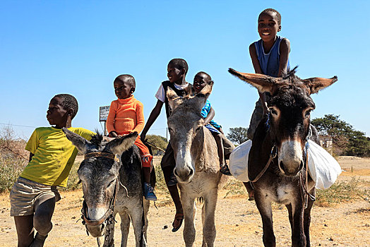 丛林原住民,孩子,人,驴,卡拉哈里沙漠,博茨瓦纳,非洲