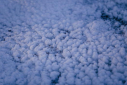 冬季雪地河面冰花特写