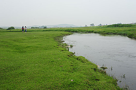 承德,坝上,草原,花海,原野,开阔,河流,植被,牧场