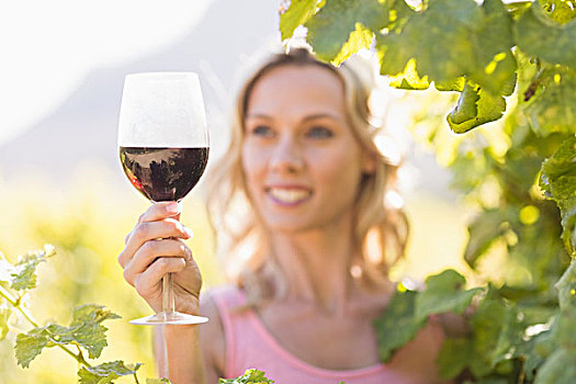 微笑,女人,看,葡萄酒杯,站立,靠近,葡萄藤,葡萄园