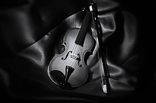 静物,黑白,小提琴,大幅,尺寸