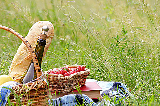野餐篮,水果,葡萄酒,面包,草地,书本,草莓,旁白