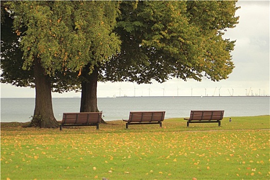 三个,长椅,公园,风景,海洋