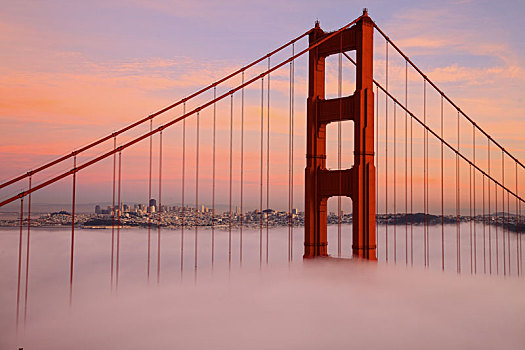第一,塔,金门大桥,雾