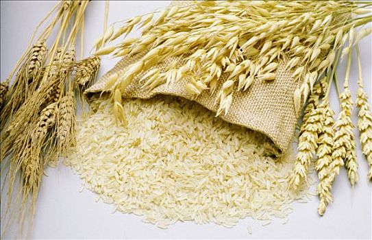 小麦,米饭,棚拍