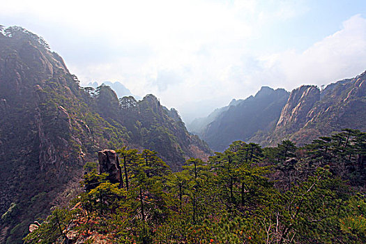 黄山,奇石,云海,壮观,名胜,风景,0008