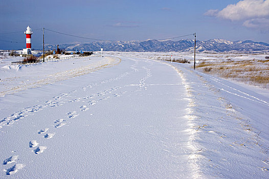 雪地,脚印