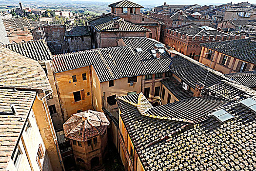 远眺,屋顶,锡耶纳,托斯卡纳,意大利,欧洲