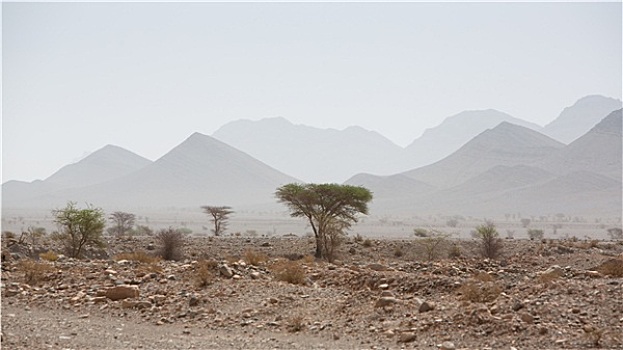 干燥,热,白天,沙漠,撒哈拉沙漠