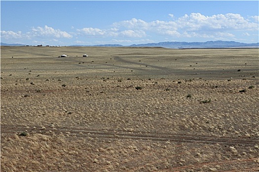 草原,蒙古