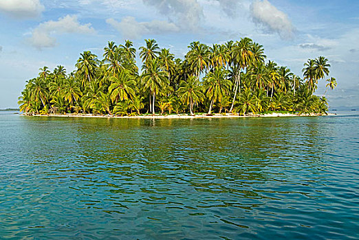 岛屿,椰树,椰,圣布拉斯湾,巴拿马,北美