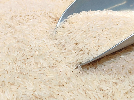 米,米粒,稻米
