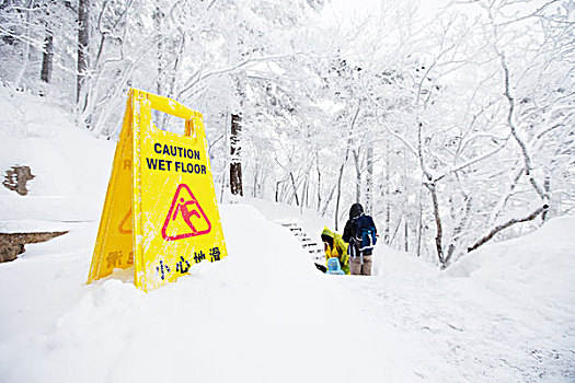 警告,小心,标牌,雪,地面,山
