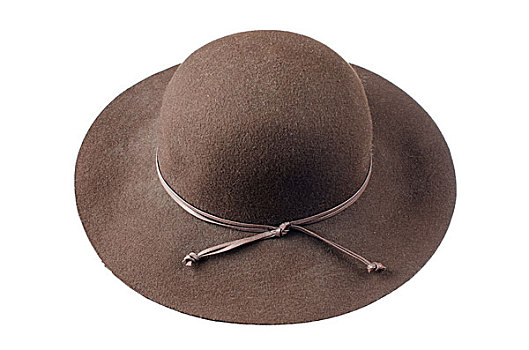 褐色,帽子
