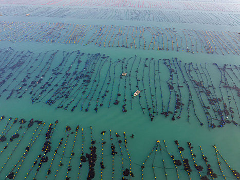 威海荣成青鱼滩的海水养殖场
