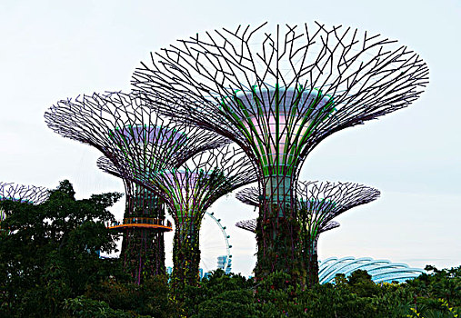 新加坡,花园,湾,亚洲