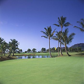夏威夷,考艾岛,考艾礁湖,高尔夫球场,基乐球场,场地,棕榈树,靠近,湖