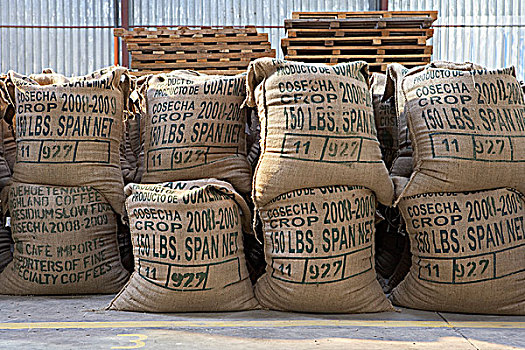 咖啡,粗麻袋,干燥,工厂,危地马拉