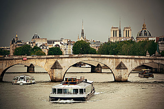 巴黎,塞纳河,桥,历史建筑