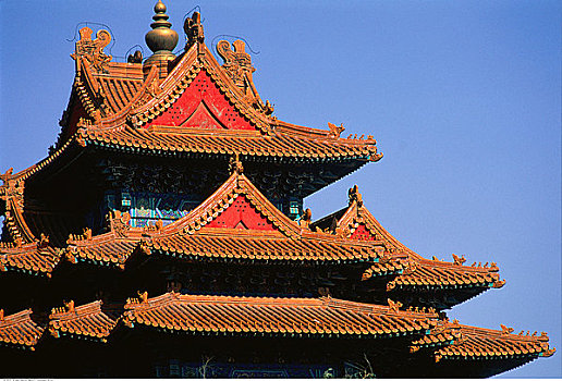 宫殿,屋顶,故宫,北京,中国