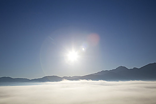 秋天,雾,太阳,逆光,科赫尔湖,苔藓,高山,巴伐利亚,德国