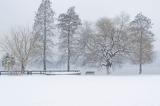 武汉东湖园林雪景