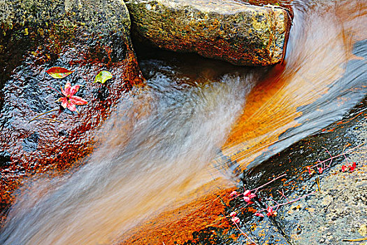 瀑布,红叶,山泉,流水