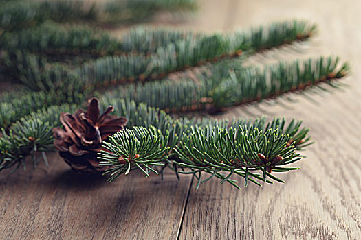 杉枝,特写,橡树,桌子,圣诞节