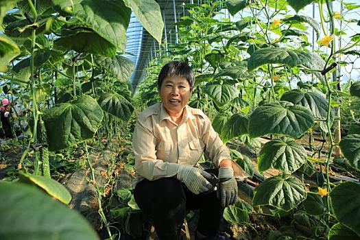 排污阀