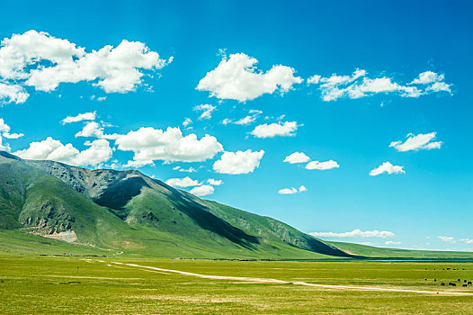 蓝天白云下的湖泊草原山脉风光,高原牧群,中国西藏