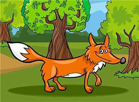 野生,狐狸,动物,卡通,插画