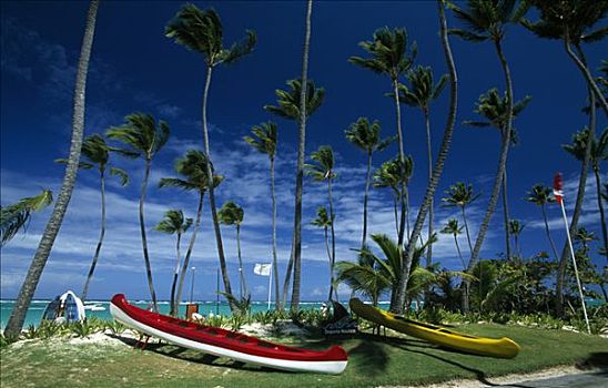 船,棕榈海滩,干盐湖,蓬塔卡纳,多米尼加共和国,加勒比海