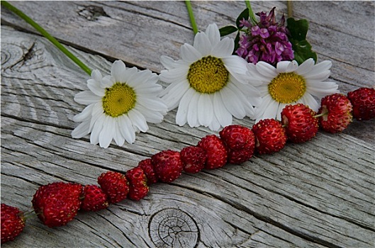 夏天,象征,野草莓,花
