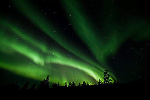 螺旋,北极光,极光,绿色,靠近,育空地区,加拿大