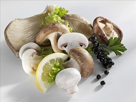 草菇,香菇,蚝蘑