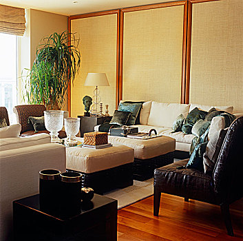 海草,皮革,家具,创作,安逸,优雅,客厅