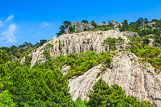 山,树,科西嘉岛,法国,自然,风景,区域