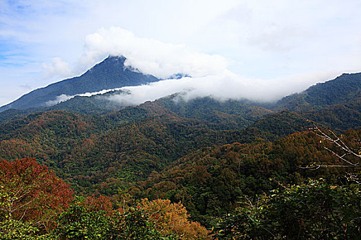 五指山风光