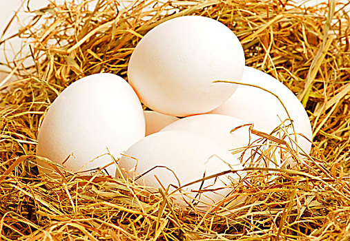鸡蛋,鸟窝