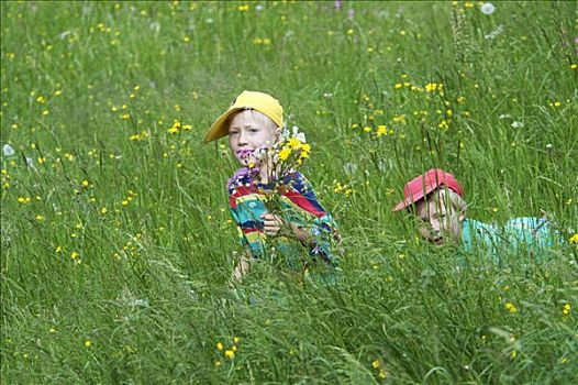 两个,小男孩,兄弟,6岁,8岁,玩,花,草地,聚会