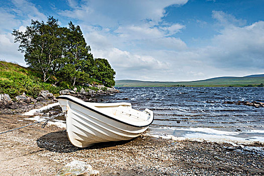白色,渔船,岸边,湖,萨瑟兰,苏格兰,英国,欧洲