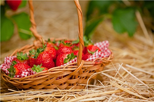 草莓,柳条篮