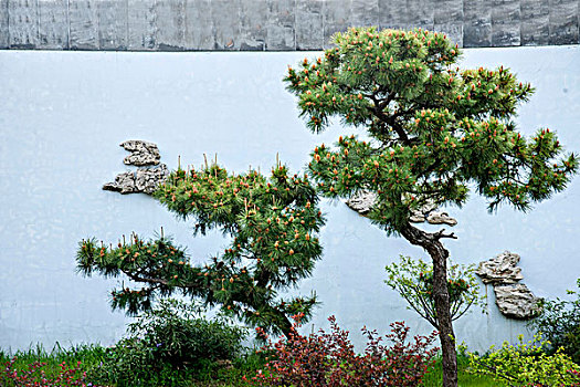 杨州瘦西湖扬派盆景园