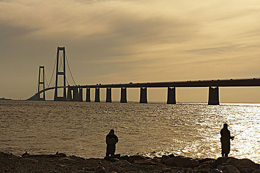 丹麦,垂钓,桥,日落
