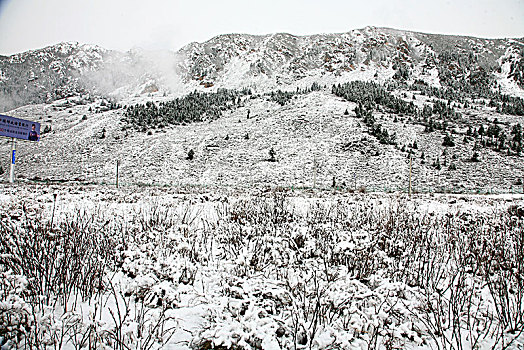 四川,黄龙,雪山,寒冷,村庄,户外