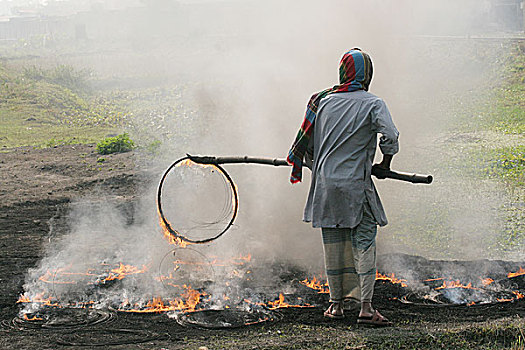 轮胎,蛋,篮子,鸟,容器,白天,空气污染,库尔纳市,孟加拉,2006年